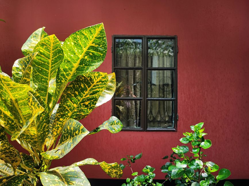 Side of a home with painted walls under daylight